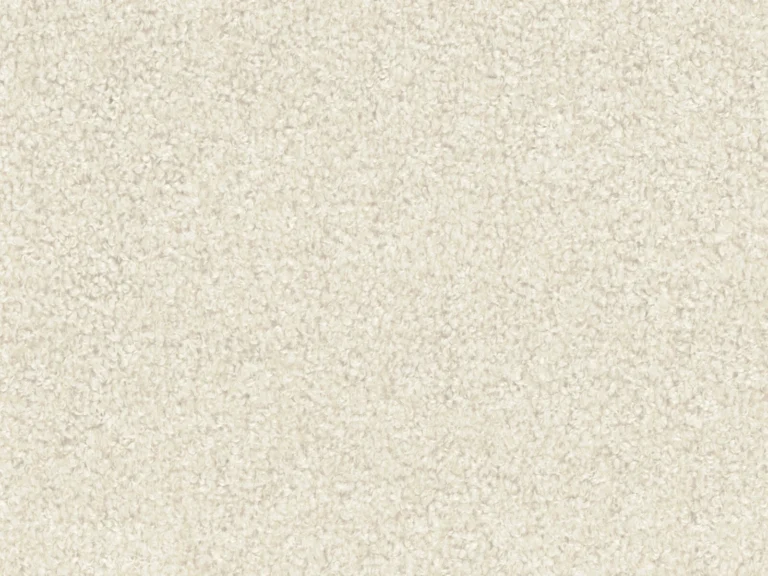 Teddy Cream